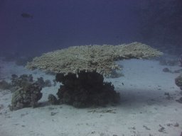hamata_200711-12 015